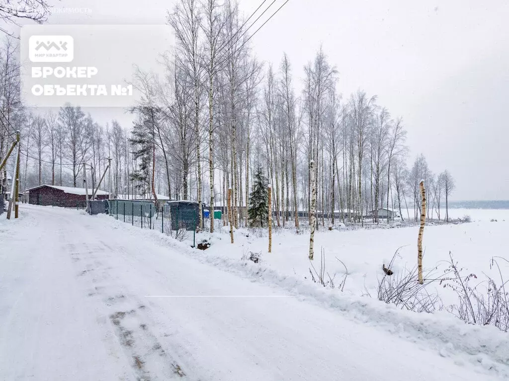 Участок в Выборгский район, Полянское сельское поселение, посёлок ... - Фото 2