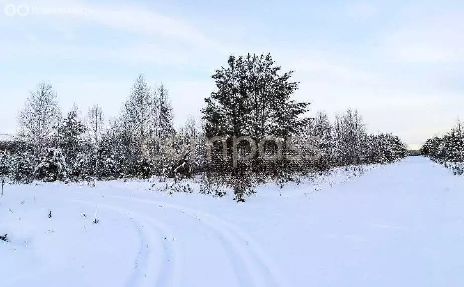 Участок в Нижнетавдинский район, деревня Красный Яр (12 м) - Фото 1