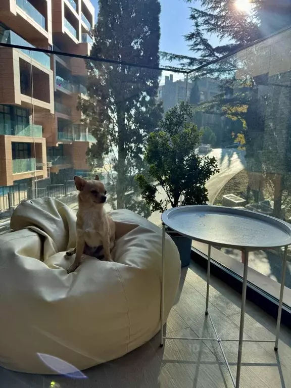 Студия Крым, Ялта муниципальный округ, Гурзуф пгт ул. Геологов, 7к3 ... - Фото 1