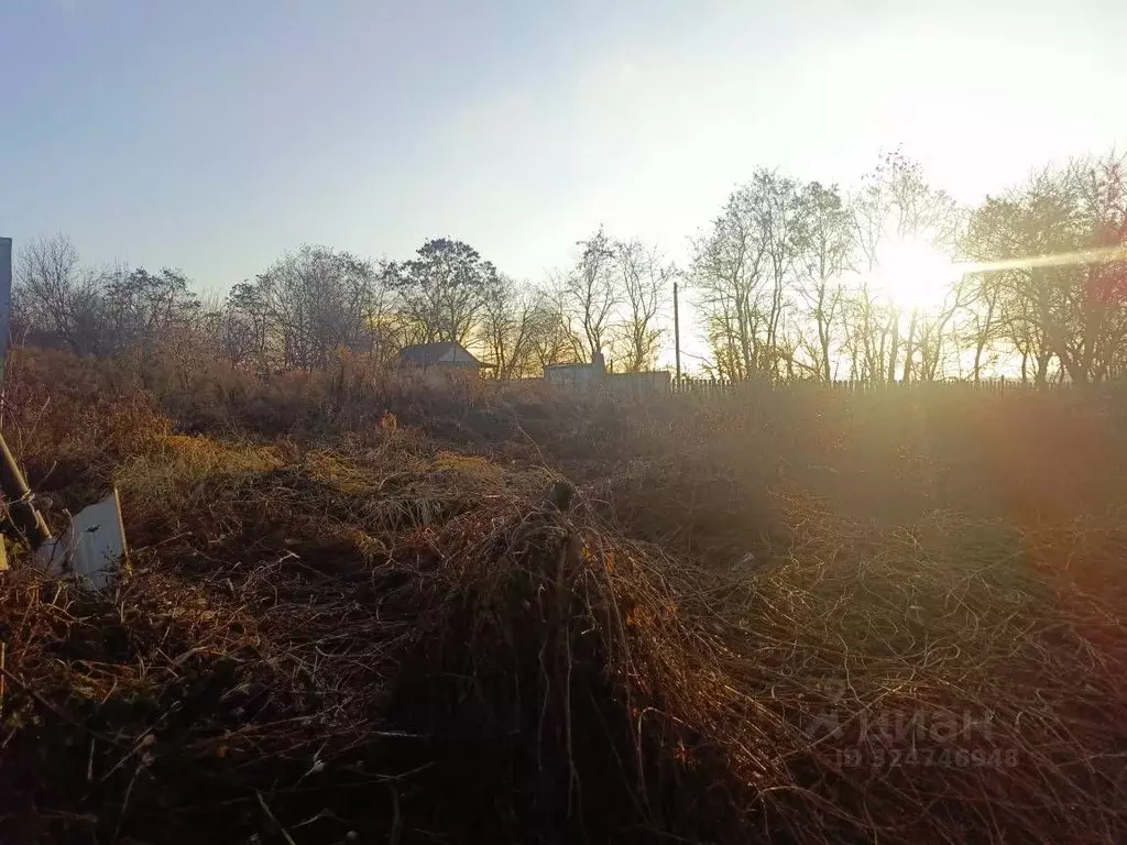 Участок в Курская область, Железногорский район, Студенокский ... - Фото 1