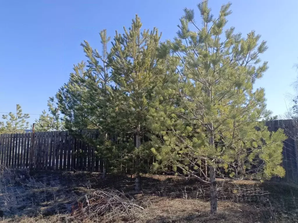 Участок в Саратовская область, Саратов проезд 6-й Лесопарковый (6.87 ... - Фото 2