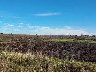 Участок в Белгородская область, Новооскольский муниципальный округ, с. ... - Фото 1