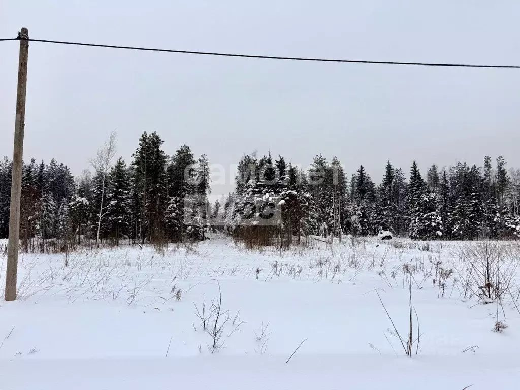 Участок в Московская область, Дмитровский муниципальный округ, Ивушка ... - Фото 1