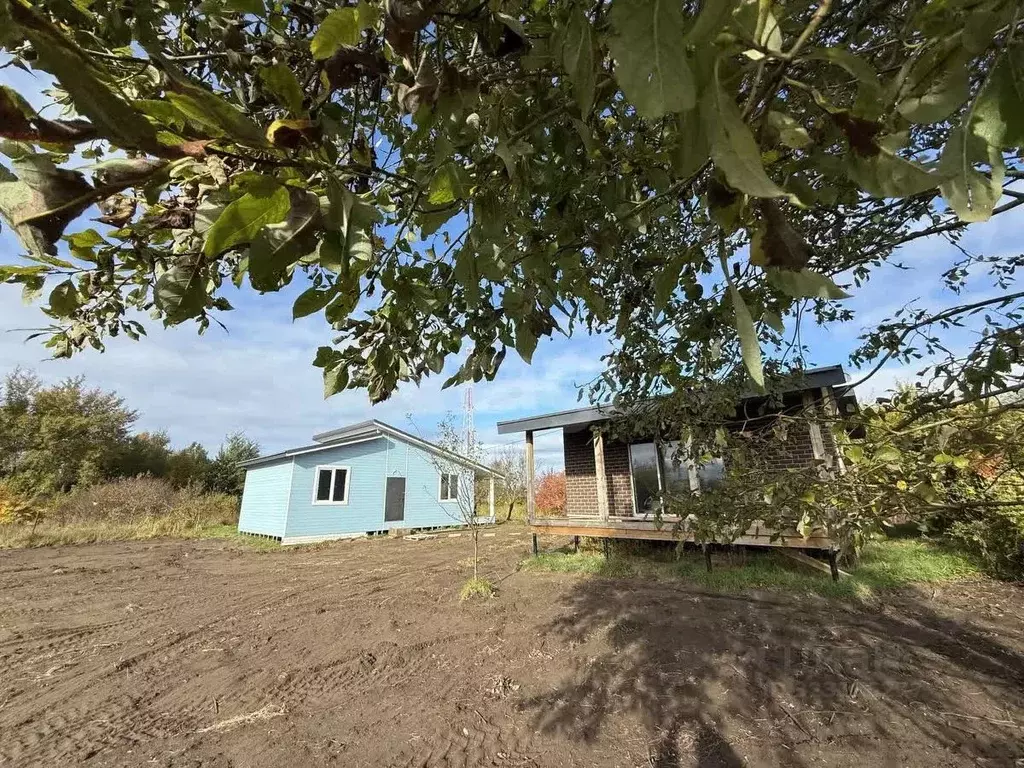 Дом в Калининградская область, Янтарный пгт, Садовник СНТ ул. Летняя, ... - Фото 1