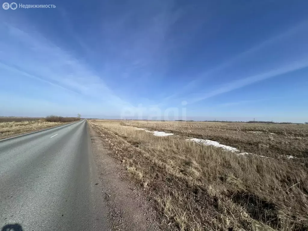 Участок в Курганская область, Белозерский муниципальный округ, село ... - Фото 1