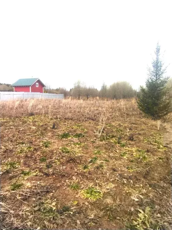 Участок в Пермский край, Пермский район, Подборный кв-л  (14.2 сот.) - Фото 2