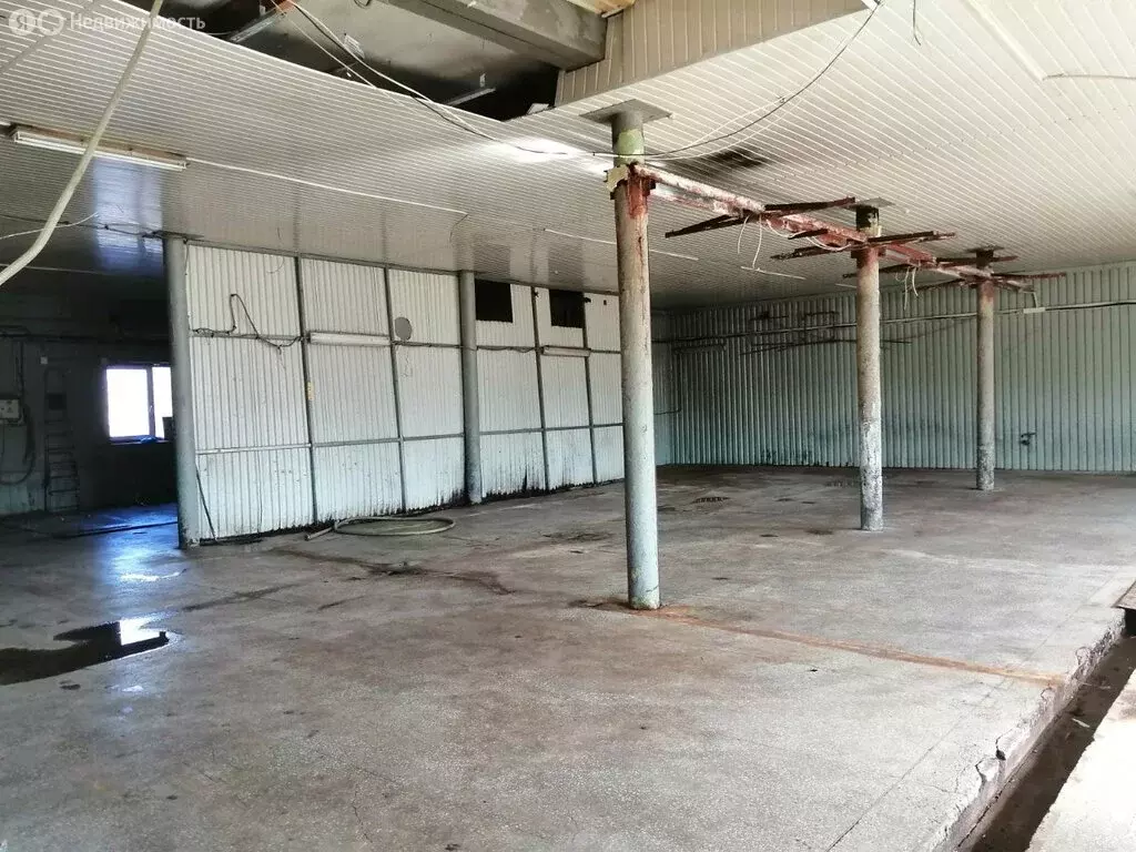 Производственное помещение (950 м) - Фото 1