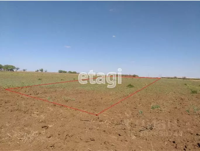 Участок в Крым, Сакский район, Ореховское с/пос, с. Чеботарка  (50.0 ... - Фото 1