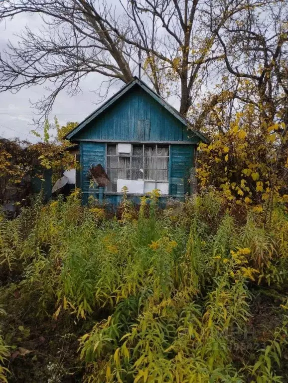 Дом в Брянская область, Брянский район, Супоневское с/пос, Рассвет СДТ ... - Фото 1