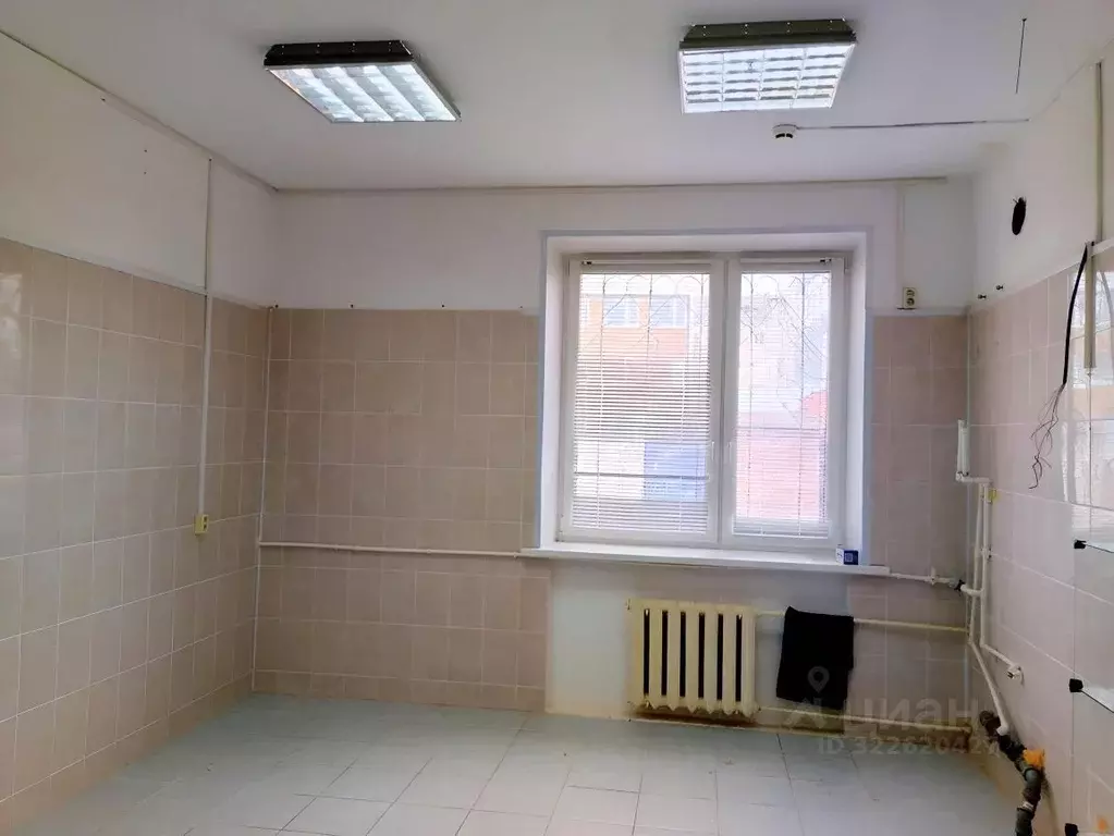 Помещение свободного назначения в Псковская область, Псков Советская ... - Фото 1