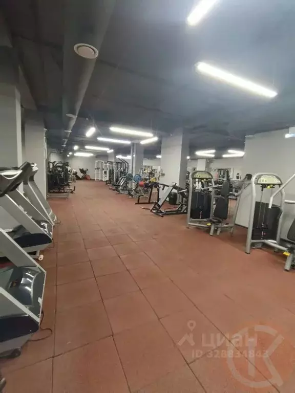 Помещение свободного назначения в Крым, Евпатория просп. Победы, 50 ... - Фото 1