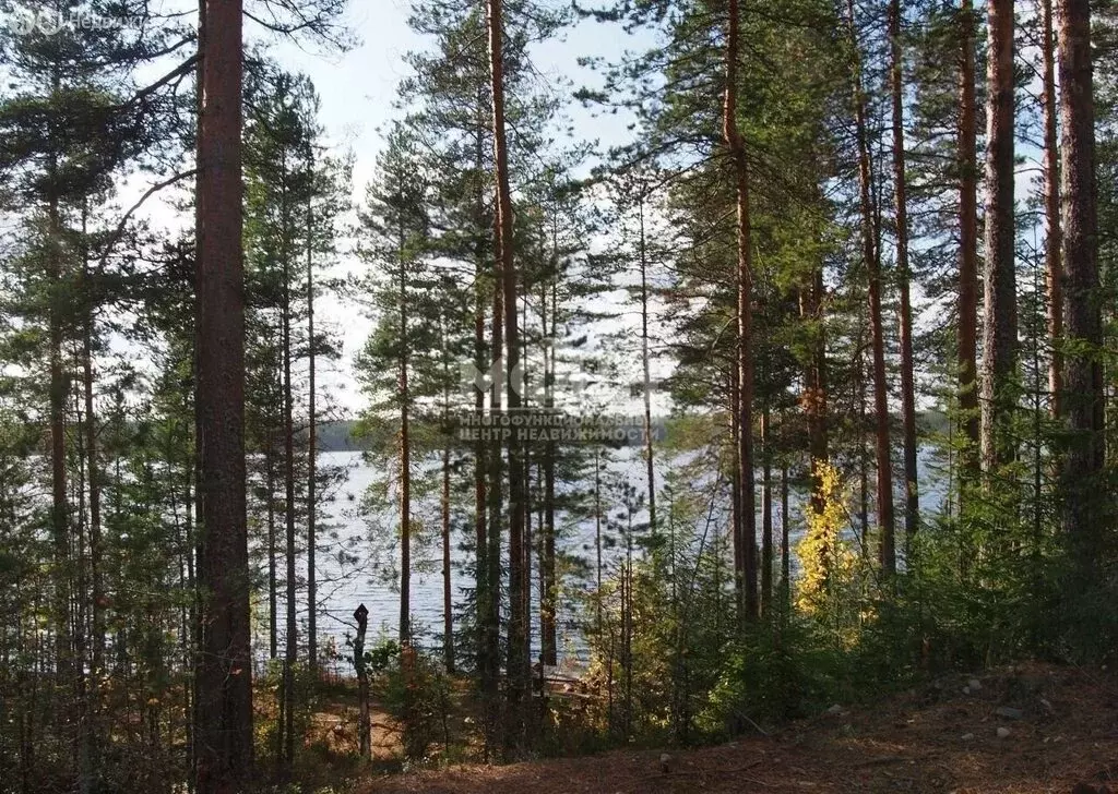 Участок в Нововилговское сельское поселение, СНТ Гильд (15 м) - Фото 0