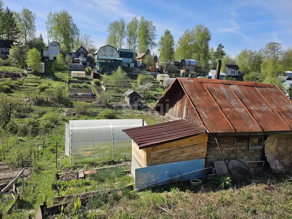 Участок в Новосибирская область, Новосибирский район, Станционный ... - Фото 0