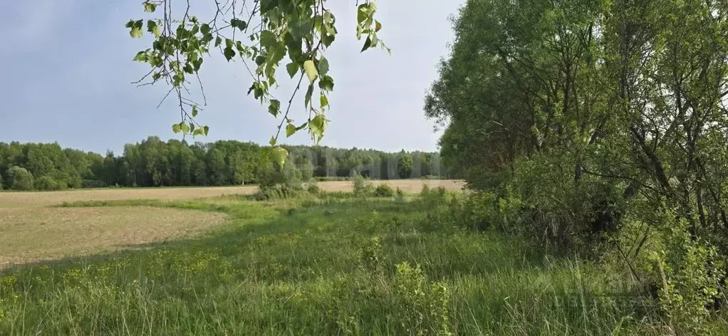 Дом в Калужская область, Село Ферзиково с/пос, д. Перерушево 1 (106 м) - Фото 1