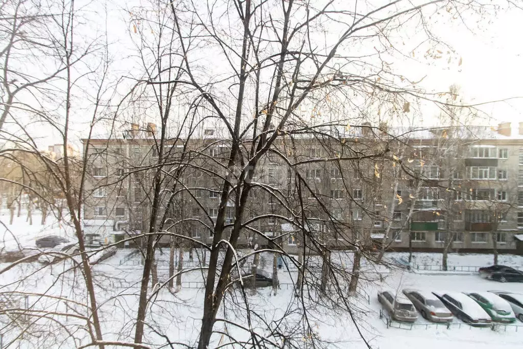 1-комнатная квартира: Тюмень, улица 50 лет Октября, 43 (30 м) - Фото 1