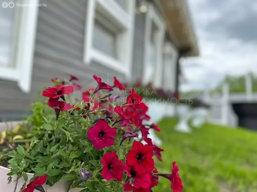 Дом в Тюменский муниципальный округ, деревня Зубарева (120 м) - Фото 2