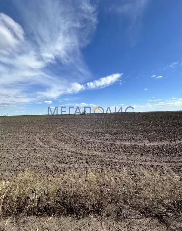 Участок в Саратовская область, Балаковский район, с. Натальино ул. ... - Фото 2