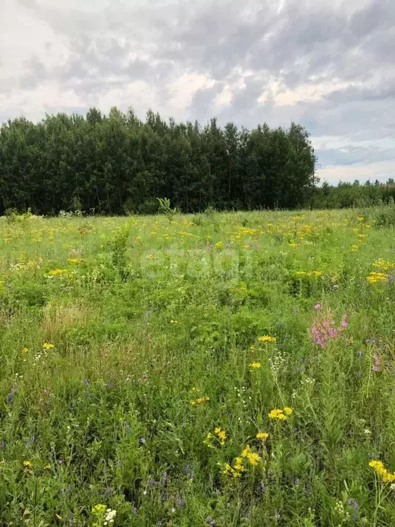 Участок в Башкортостан, Уфа Елкибаево-Федоровка-Самохваловка жилрайон, ... - Фото 1
