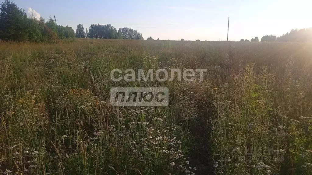 Участок в Пермский край, Карагайский муниципальный округ, д. Ярино  ... - Фото 0