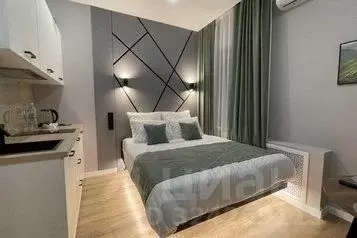 1-к кв. Татарстан, Казань ул. Островского, 34 (15.0 м) - Фото 1