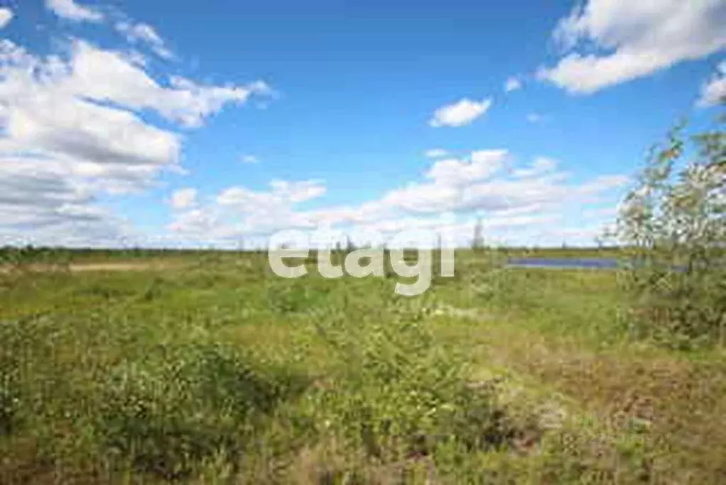 Участок в Ямало-Ненецкий АО, Новый Уренгой ул. 9-я Запрудная (6.0 ... - Фото 1