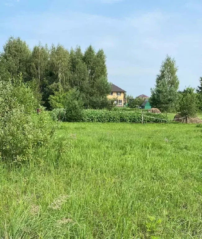 Продается участок в д. Меткомелино - Фото 1