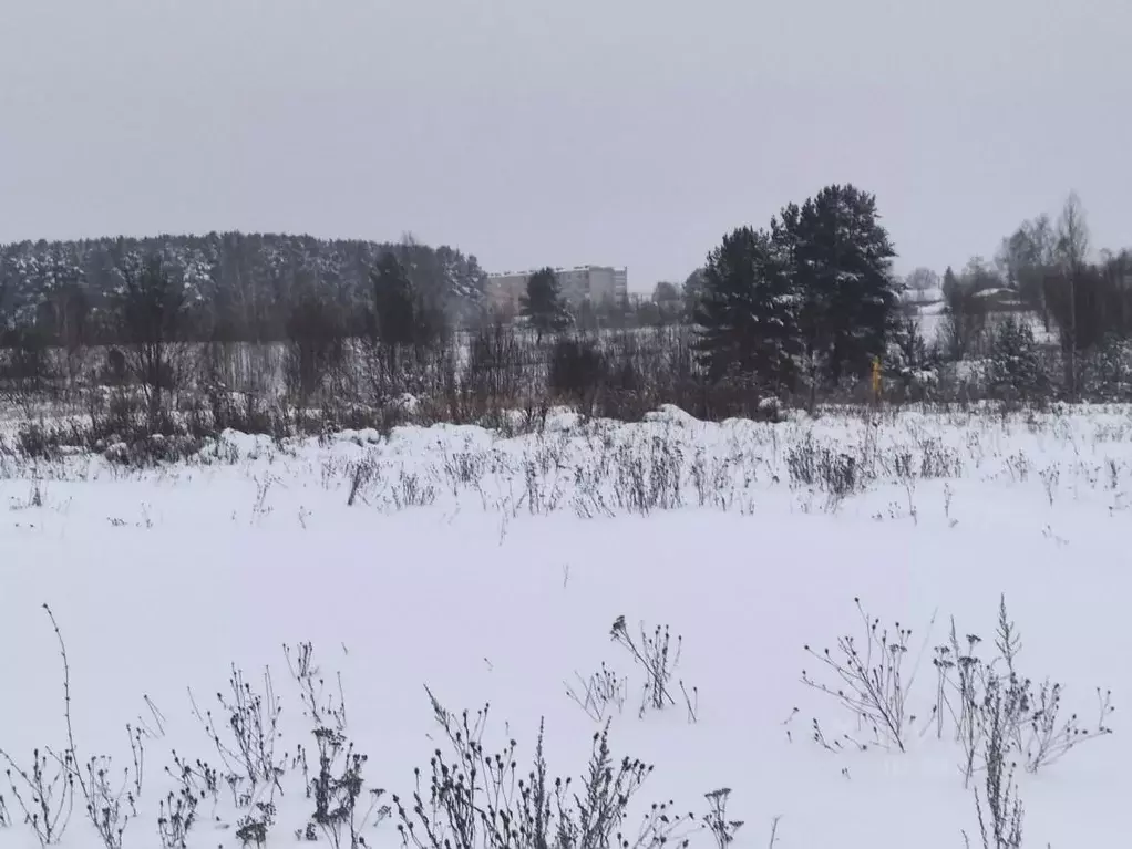 Участок в Владимирская область, Карабаново Александровский район, ... - Фото 0