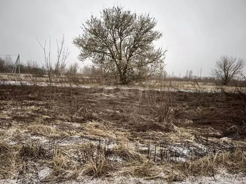 Участок в Брянская область, Брянский район, Нетьинское с/пос, Ласточка ... - Фото 2