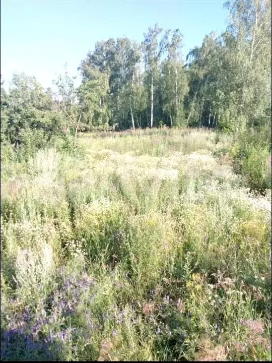 Участок 9 сот. (СНТ, ДНП) - Фото 1