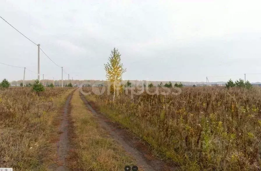 Участок в Тюменская область, Тюменский район, д. Елань  (10.0 сот.) - Фото 1