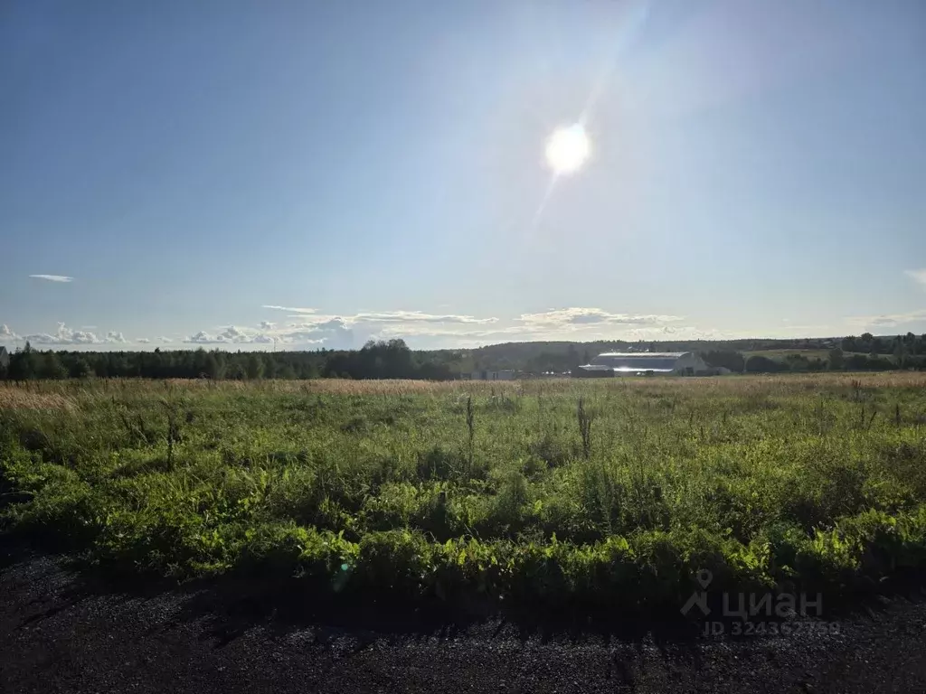 Участок в Московская область, Дмитровский муниципальный округ, пос. ... - Фото 2