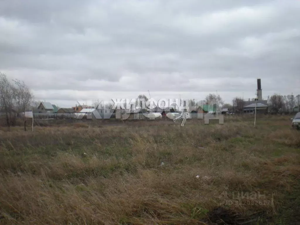 Участок в Новосибирская область, Новосибирский район, Боровской ... - Фото 1