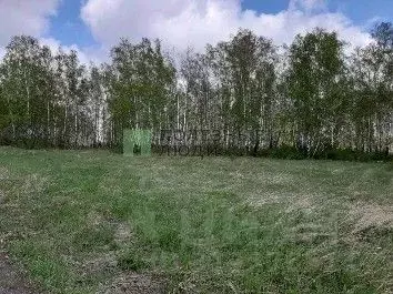 Участок в Красноярский край, Емельяновский район, Элитовский ... - Фото 0