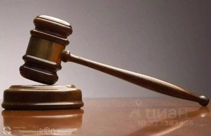 1-к кв. Московская область, Орехово-Зуевский городской округ, д. ... - Фото 1