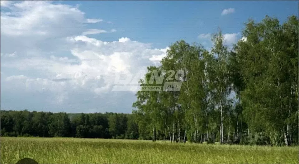 Участок в Челябинская область, Красноармейский район, Лазурненское ... - Фото 1