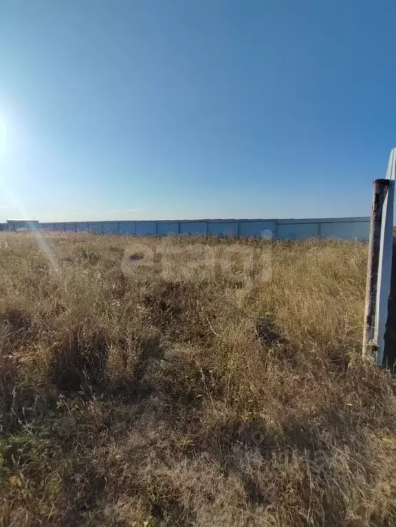 Участок в Белгородская область, Белгородский район, Дубовское с/пос, ... - Фото 2