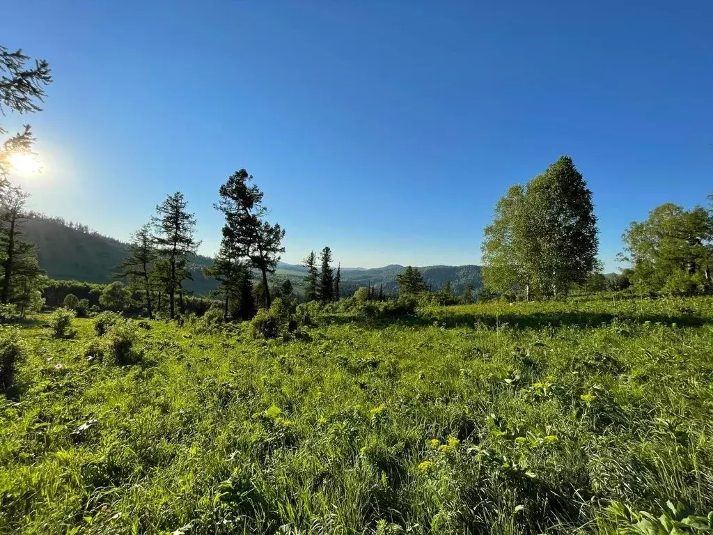 Участок в Алтай, Чемальский район, Элекмонарское с/пос, Седьмое Небо ... - Фото 2