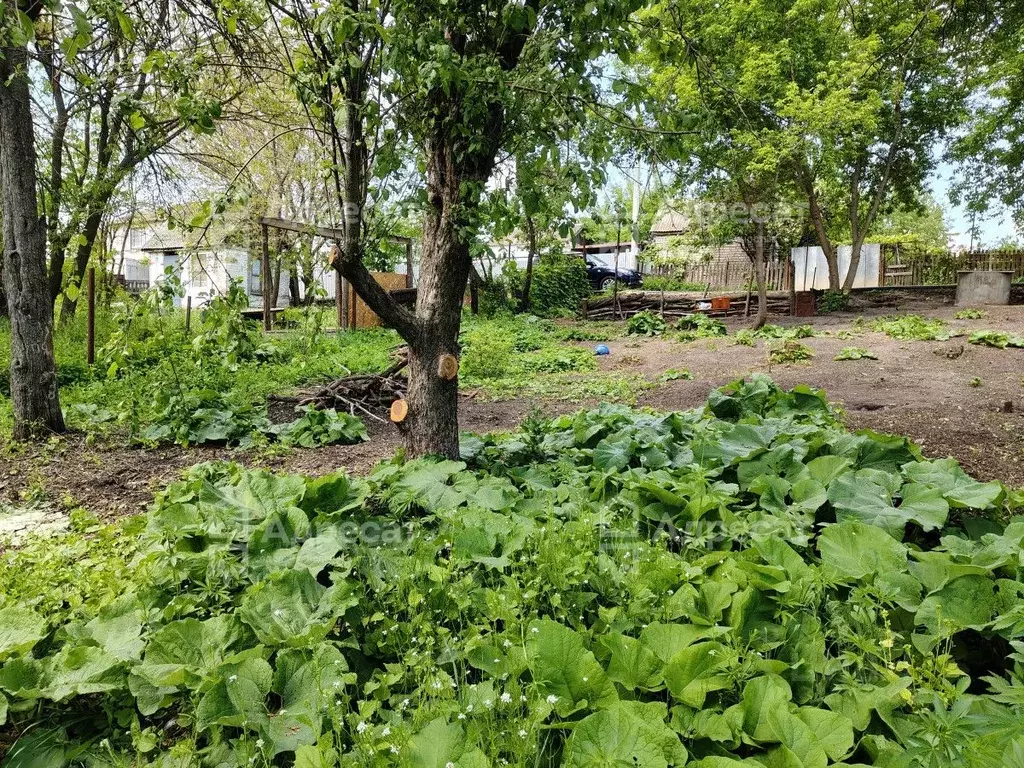 Участок в Волгоградская область, Волгоград Наука СНТ,  (6.2 сот.) - Фото 1
