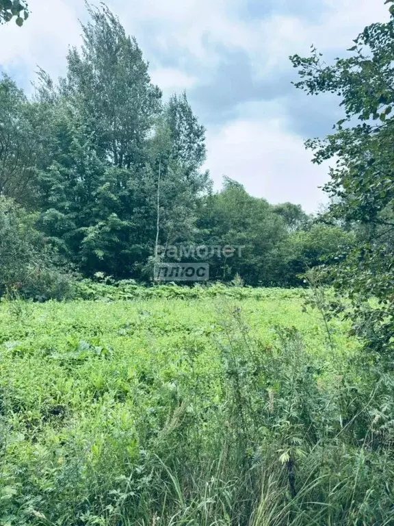 Участок в Московская область, Наро-Фоминский городской округ, д. ... - Фото 1