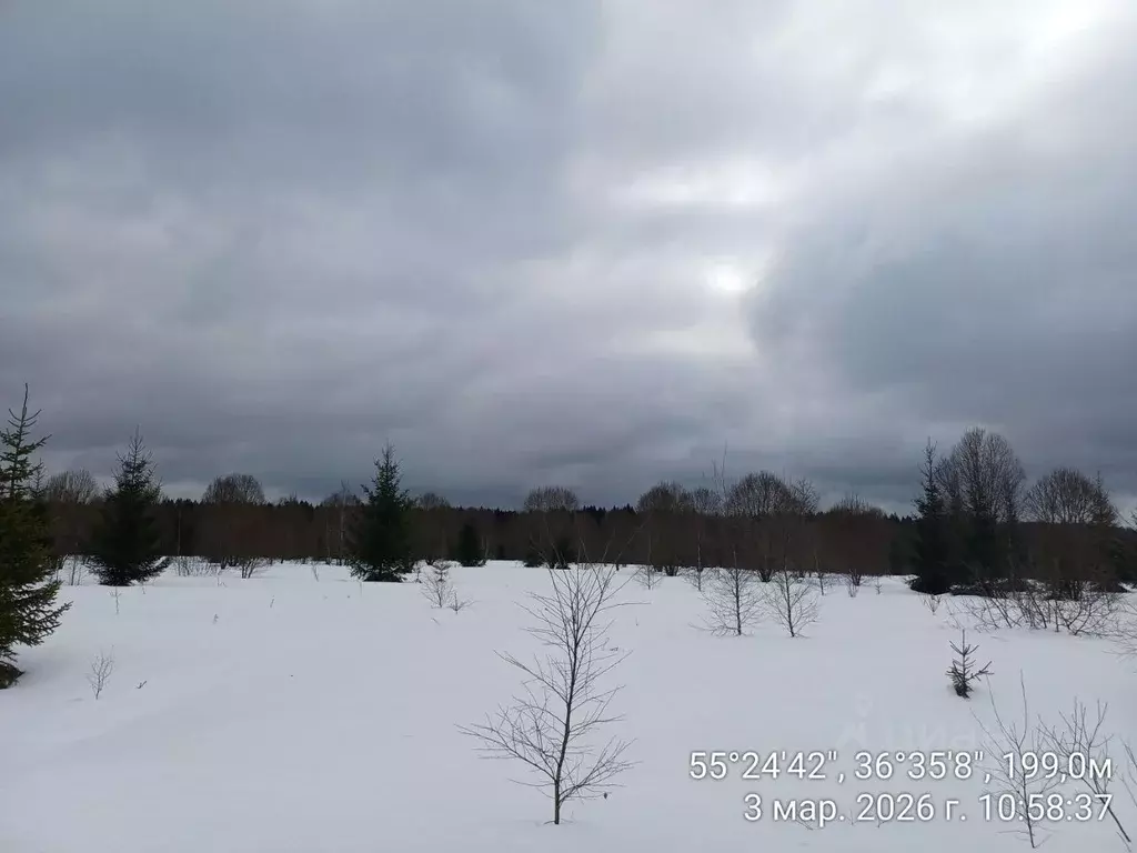 Участок в Московская область, Наро-Фоминский городской округ, д. ... - Фото 1