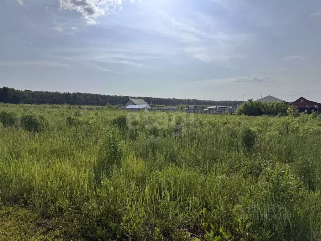 Участок в Мордовия, Саранск городской округ, Николаевка рп ул. ... - Фото 1