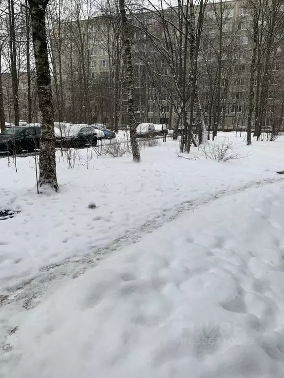 1-к кв. Санкт-Петербург Искровский просп., 30 (29.2 м) - Фото 2