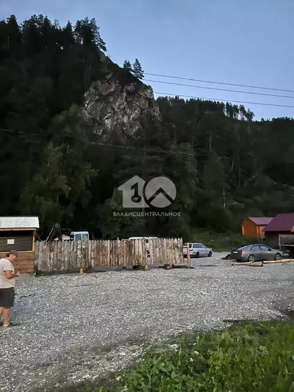 Участок в Алтай, Майминский район, Усть-Мунинское с/пос, пос. Барангол ... - Фото 2