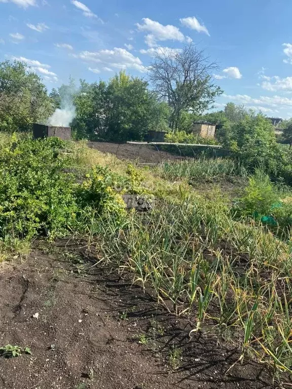 Участок в Башкортостан, Октябрьский Росинка СНТ,  (8.0 сот.) - Фото 1