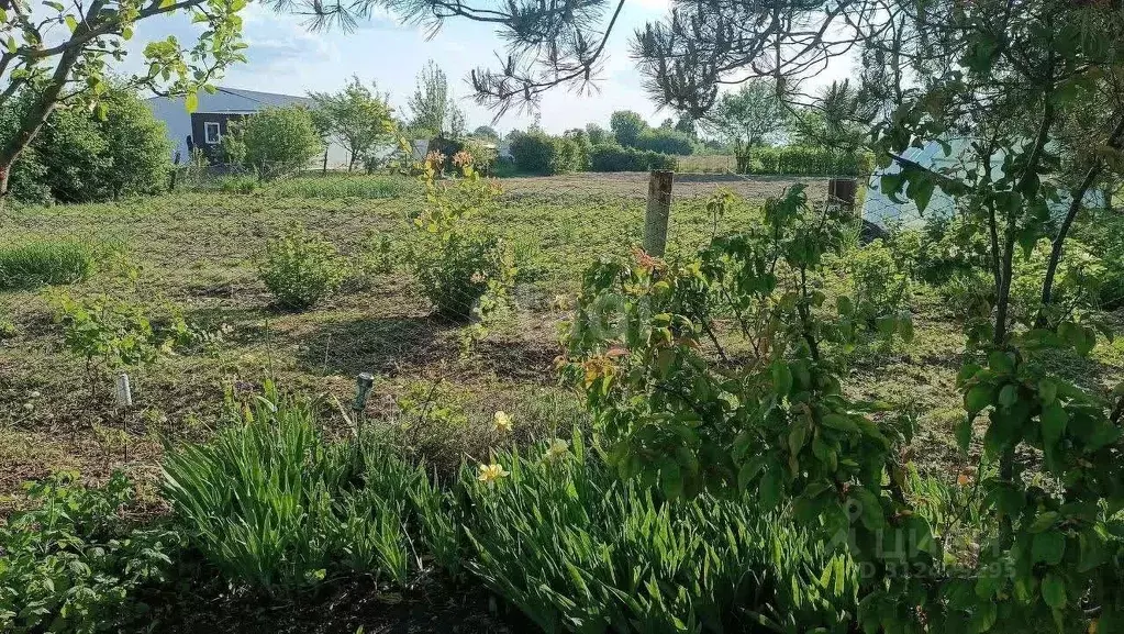 Участок в Белгородская область, Губкинский городской округ, с. Аверино ... - Фото 1