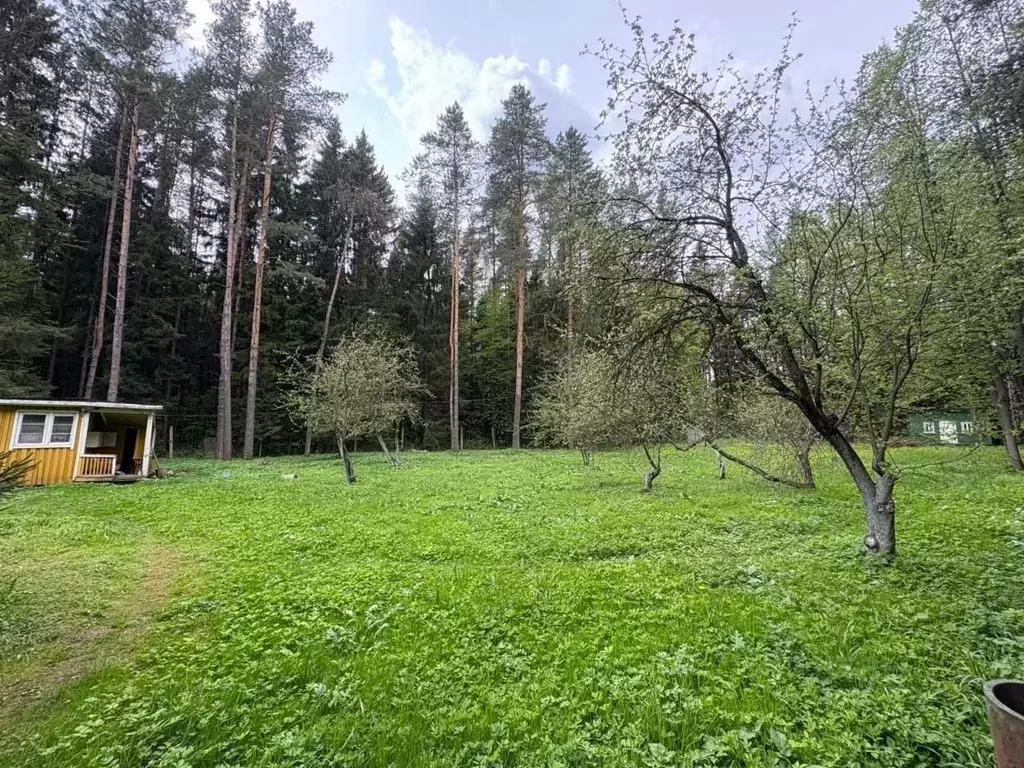 Участок в Москва д. Ожигово, Ожигово СНТ, 149 (20.0 сот.) - Фото 0