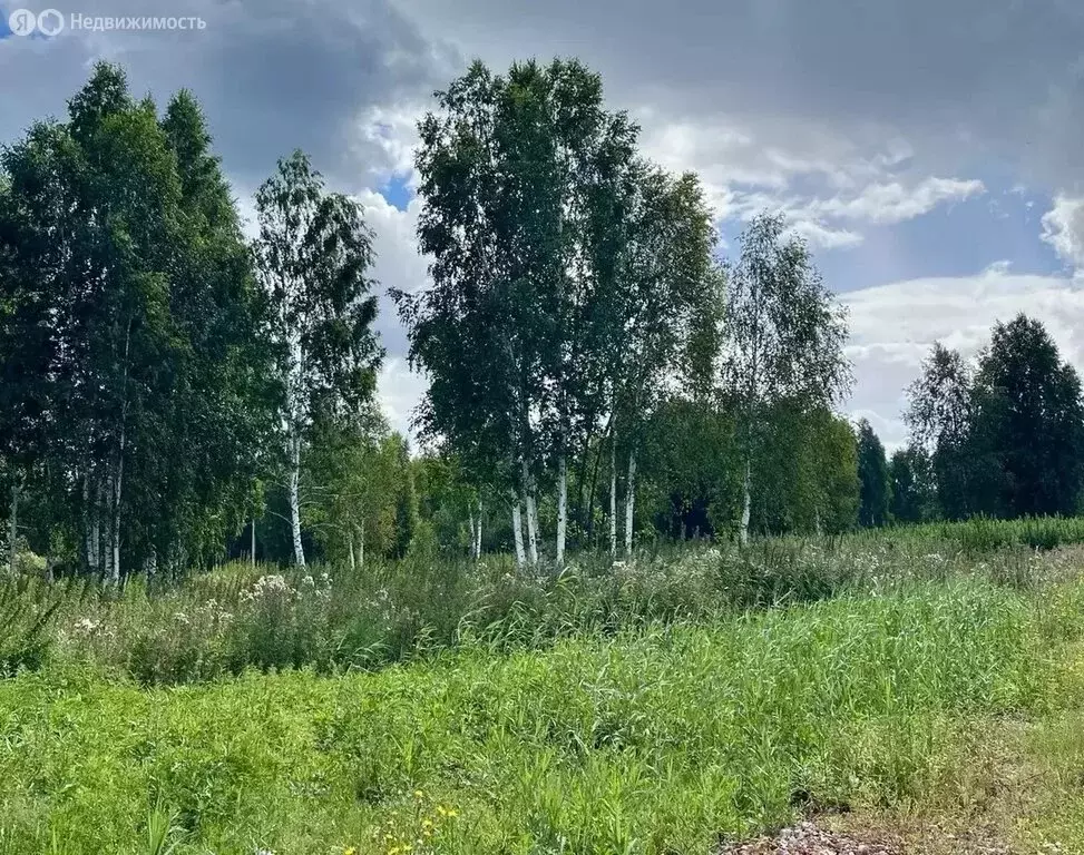 Участок в Тюменская область, Нижнетавдинский муниципальный округ, ... - Фото 0