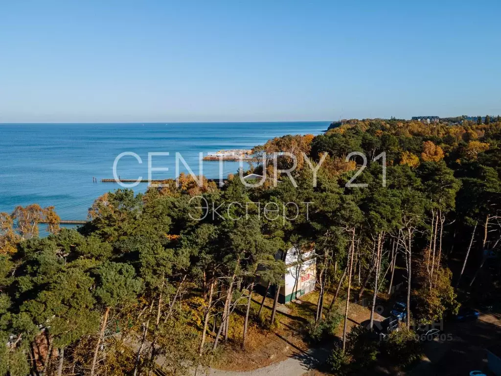 Участок в Калининградская область, Светлогорск Балтийская ул., 25А ... - Фото 1