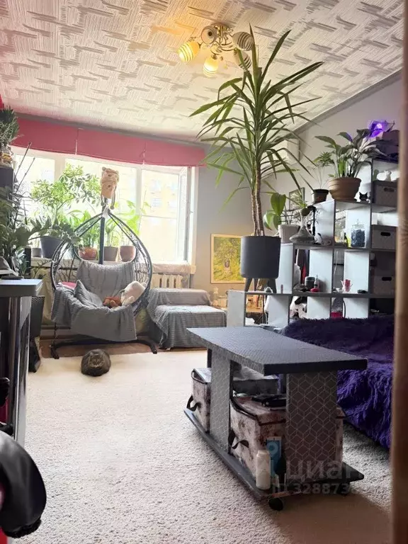 Комната Самарская область, Тольятти Юбилейная ул., 4 (18.0 м) - Фото 1