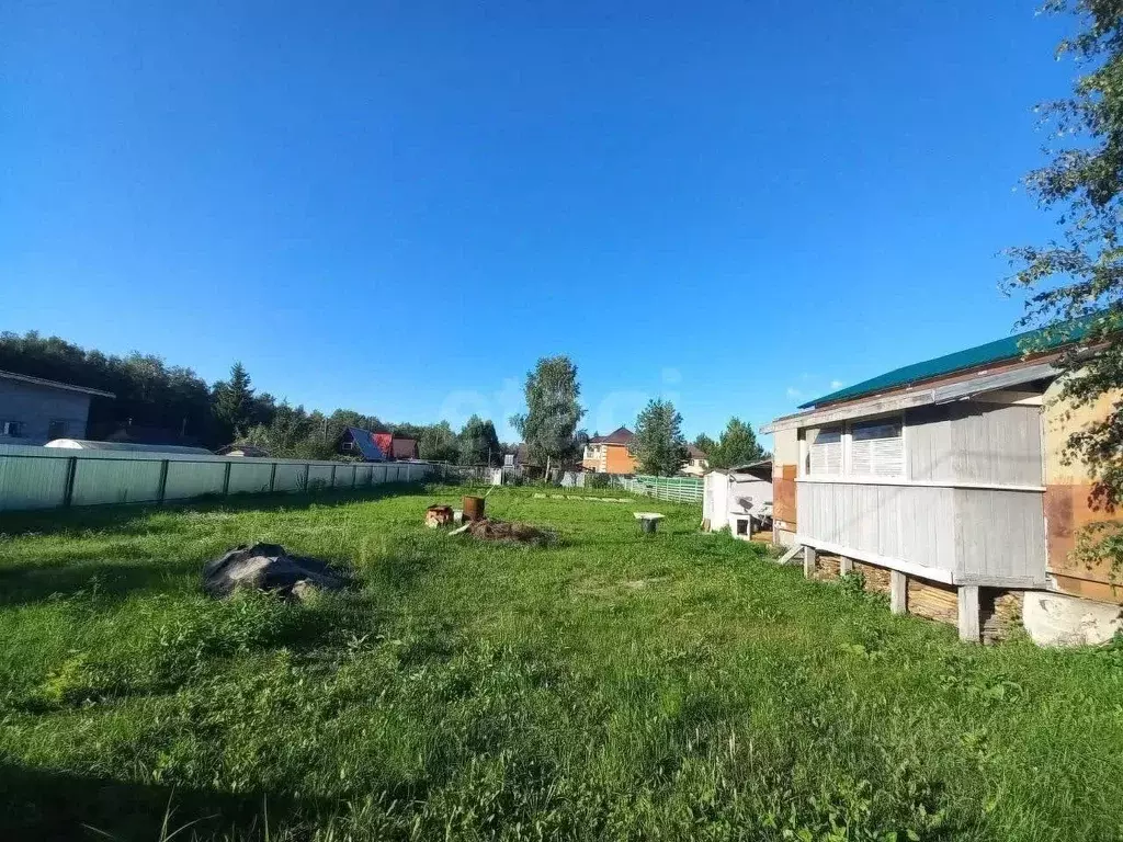 Участок в Тюменская область, Тюмень Медик СНТ, ул. Виноградная (10.77 ... - Фото 1